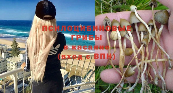 стаф Алексин