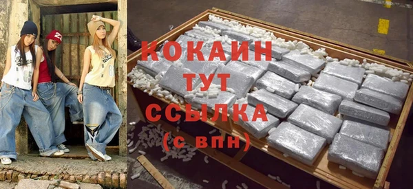 стаф Алексин